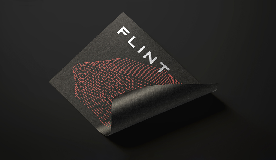 Flint – Capturing the spark in a high-tech brand (6.2)