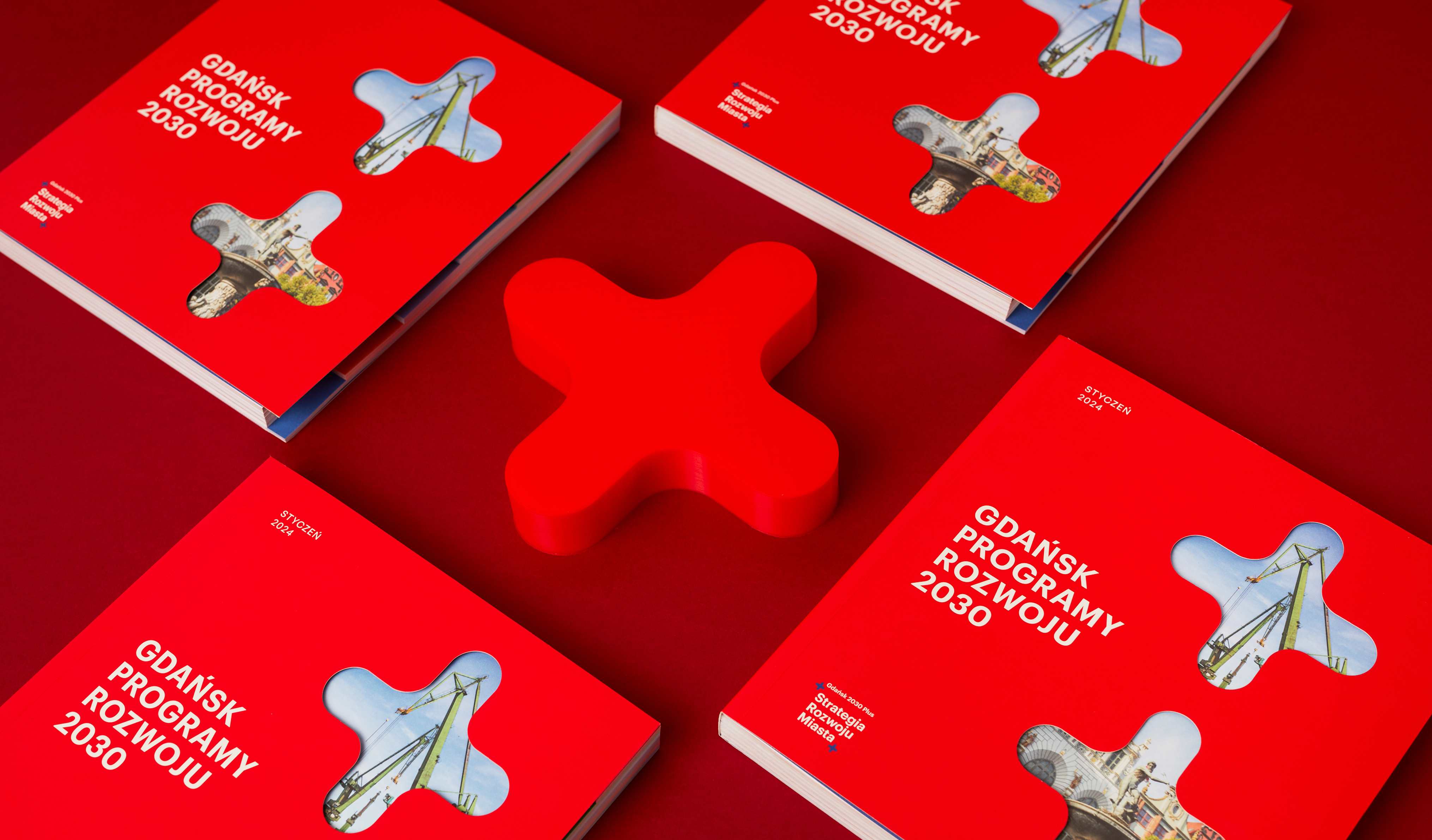 Gdańsk Programy Rozwoju 2030 – Krok ku zrównoważonemu miastu (8)