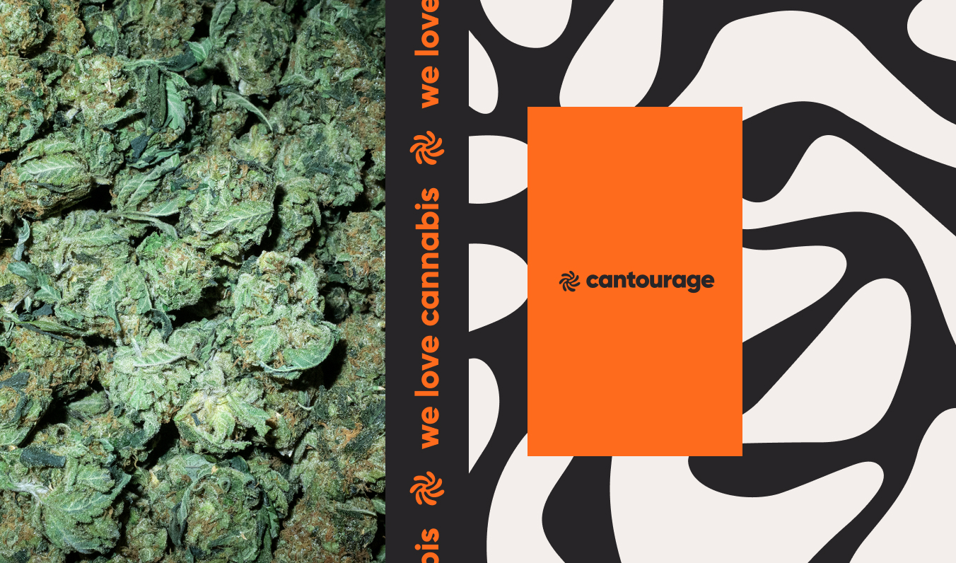 Cantourage – Blazing trails in medical cannabis (0)